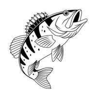 Peacock Bass Line Art Illustration vector