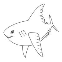Ocean Sunfish Line Art Illustration vector