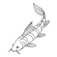 Botia Loach Line Art Illustration vector