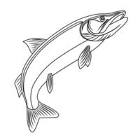 Line Art of Mystus Fish Illustration vector