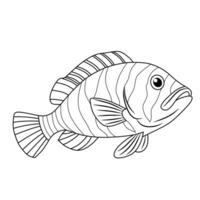 Tiger Grouper Line Art Illustration vector