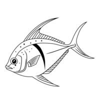 Dory Fish Line Art Illustration vector