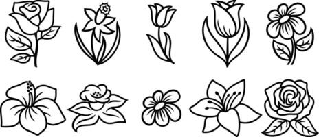 Flower clipart collection isolated. Cartoon outline set icon. vector