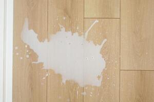 Milk spill on wooden floor in kitchen area during day photo