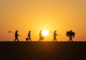 Homeward Bound at Sunset photo
