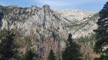 Beautiful Mountain View Hiking at Mount Charleston near Las Vegas, Nevada photo