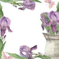 A square frame with purple irises, pink roses, a jug with a bouquet of flowers, green leaves, butterflies. The watercolor illustration is hand-drawn in a botanical style. For postcards invitations. png