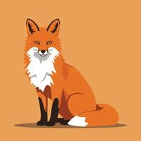 Cartoon Fox Illustration in Flat Style with White Chest EPS 10 vector