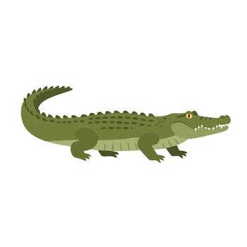Crocodile Pack Featuring Unique Color Variations EPS 10 vector