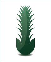 Stylized Aloe Vera Minimalist Green Succulent Illustration on White vector