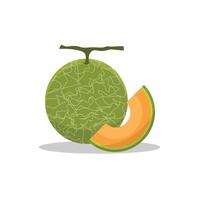 A green melon with a slice of it on it vector