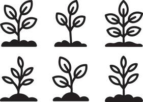 Six Black and White Plant Illustrations in a Row on White Background vector