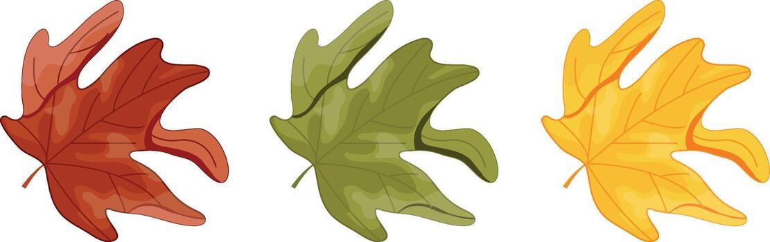 set of autumn leaves, namely multi-colored maple leaves in a folded state on the sides, for autumn patterns, postcards or websites vector