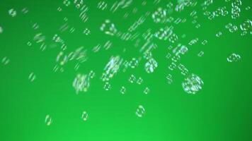 soap bubbles. flying soap bubbles, floating soap bubbles on chroma key green screen background, 4k for happy and funny playful concepts video