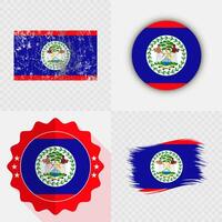 Artistic representations of Belize flags vector