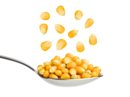 Yellow corn kernels falling into a metal spoon png