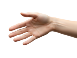 Realistic open human hand extended forward with palm visible png