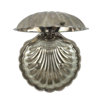 vintage prata molusco Concha aberto png