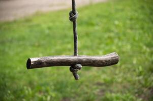 Rustic Wooden Rope Swing Hanging Against a Green Outdoor Backdrop photo