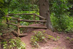 Natural Woodland Ant Hill Safeguarded by Rustic Wooden Fence Structure photo