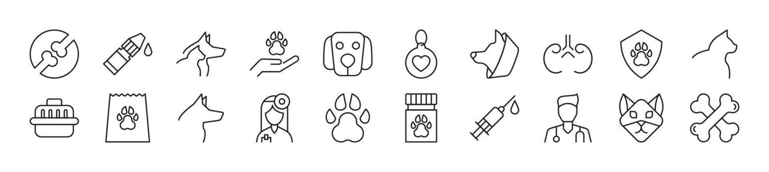 Collection of thin line icons of veterinary. Editable stroke. Simple linear illustration for web sites, newspapers, articles book vector