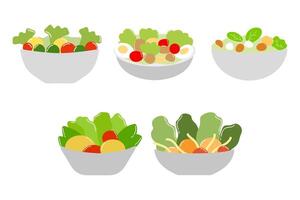 Variety of Vegetable Salad Icon Design vector