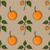 Orange fruits with green leaves pattern vector