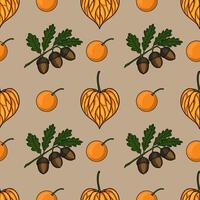 Autumn pattern with acorns and oranges vector