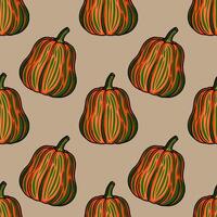 Colorful pumpkin pattern design for autumn vector