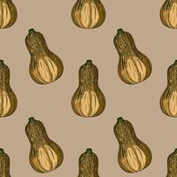 Butternut squash pattern illustration vector