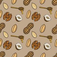 Pattern of nuts and honey vector