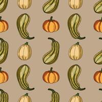 Colorful pumpkin and squash pattern design vector