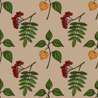 Colorful floral design with leaves and berries vector