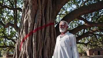 Senior Indian man wearing traditional white attire, standing beside a sacred tree adorned with a red ribbon, embodying spirituality and reverence in Indian culture video