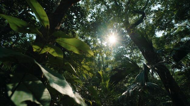 Sunlight Filtering Through Dense Foliage in Lush Green Jungle Landscape with Vibrant Leaves and Shadows photo