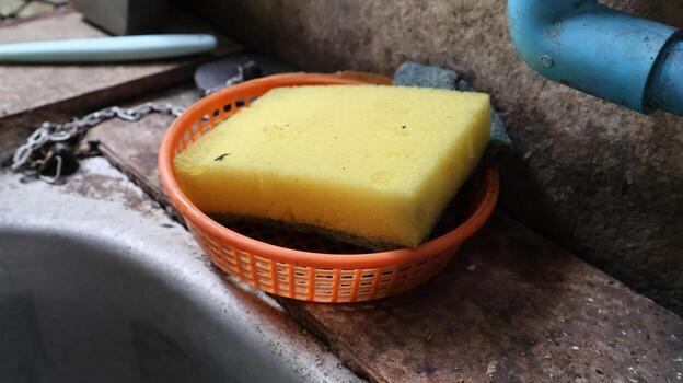 A dish sponge left in an unclean container is a breeding ground for germs photo
