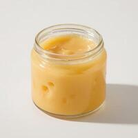 Savory Cheese Spread in White Harmony photo