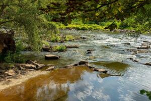 Calm riverbank nestled between lush greenery, showcasing tranquil waters under bright sunlight in a serene outdoor setting photo