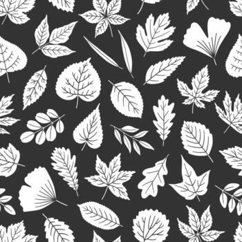 Seamless pattern with white silhouette leaves on black background, leaf of maple, oak, linden, aspen, ginkgo, and others. Print for textile, package, and wrapping paper, illustration vector