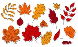 A set of autumn leaves. Autumn leaves of maple, chestnut, oak, linden, ash trees vector