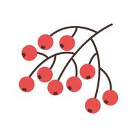 Bunch of viburnum. Element of autumn forest. illustration. vector
