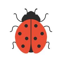 Cute ladybug. Flat cartoon insect design for children design and eco themes. illustration. vector