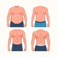 Four different body types of men vector