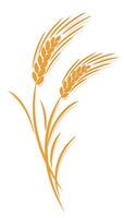 Wheat ear symbol. vector