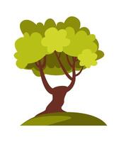 Strong and tall tree flat icon Illustration vector