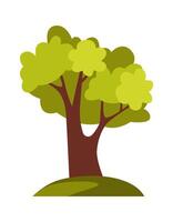fuerte y alto árbol plano icono plano ilustración icono vector
