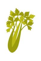 Parsley flat icon Allergen food vector