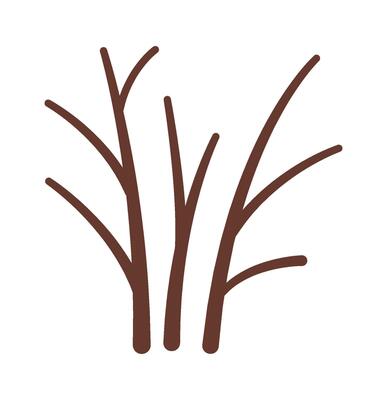 Bare tree flat icon Spring decorative plant Flat Illustration Hand Drawn Icon