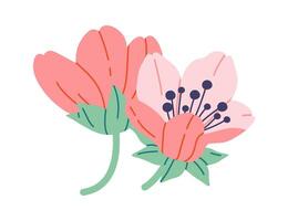 Cherry blossom flowers flat icon Spring tree Flat Illustration Icon vector