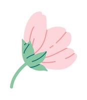floreciente sakura plano icono primavera decorativo árbol ilustración vector